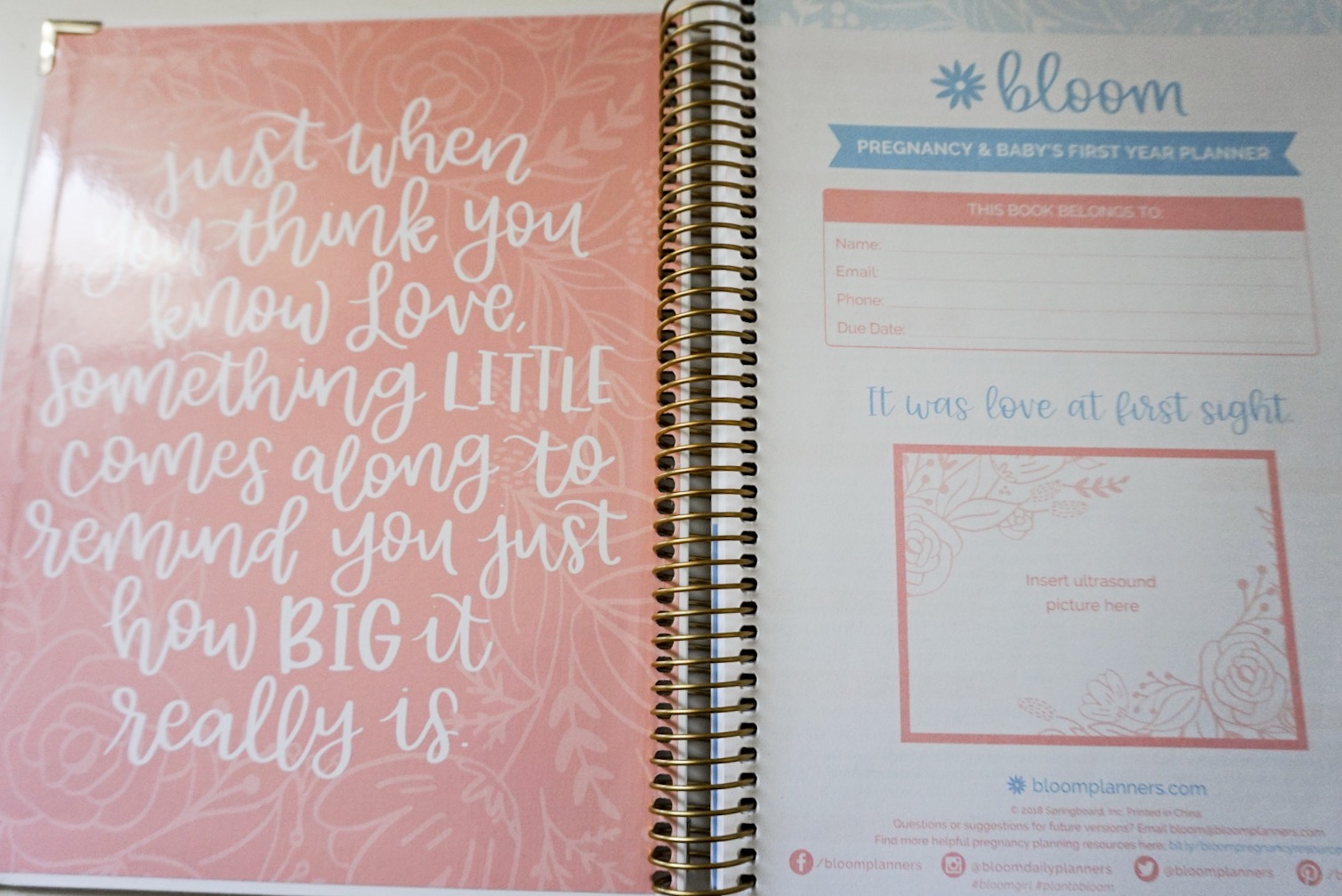 Pregnancy & Baby's First Year Planner Journal - bloom planners® – bloom  daily planners