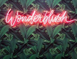 Hair Ready with Wonderblush!